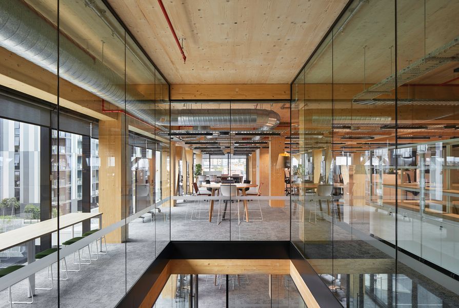 Warm timber and glass commercial workplace interior